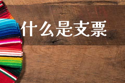 什么是支票_https://m.15771688.com_道指实时行情_第1张