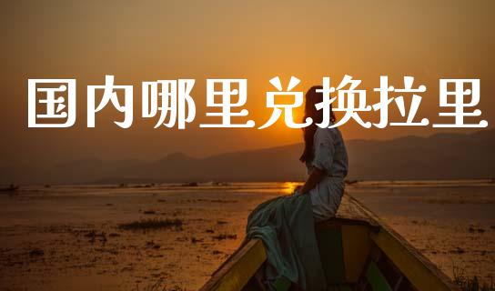 国内哪里兑换拉里_https://m.15771688.com_美国道指_第1张