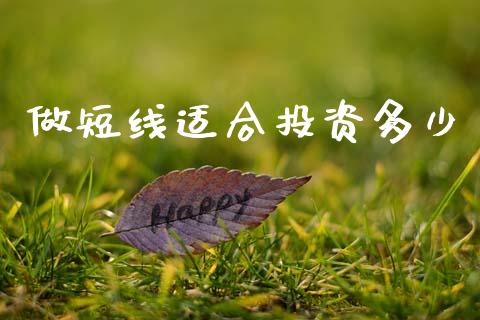 做短线适合投资多少_https://m.15771688.com_期货开户_第1张
