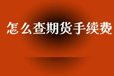 怎么查期货手续费_https://m.15771688.com_道指实时行情_第1张