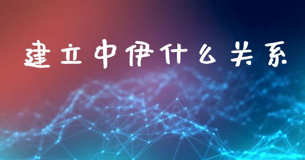 建立中伊什么关系_https://m.15771688.com_期货开户_第1张