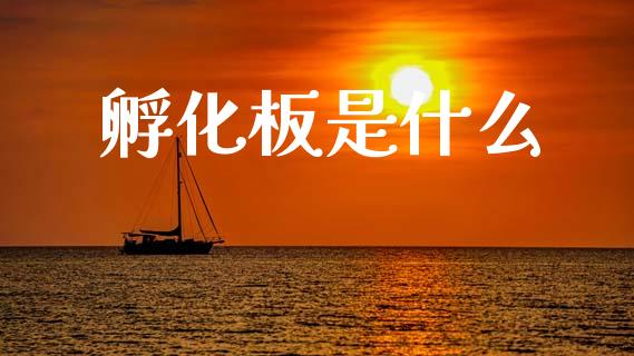 孵化板是什么_https://m.15771688.com_美国道指_第1张