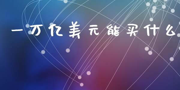 一万亿美元能买什么_https://m.15771688.com_期货开户_第1张