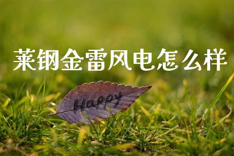 莱钢金雷风电怎么样_https://m.15771688.com_期货手续费_第1张