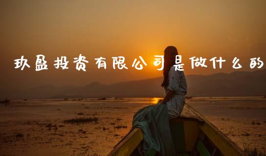 玖盈投资有限公司是做什么的_https://m.15771688.com_美国道指_第1张