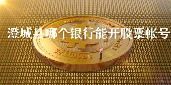 澄城县哪个银行能开股票帐号_https://m.15771688.com_期货手续费_第1张