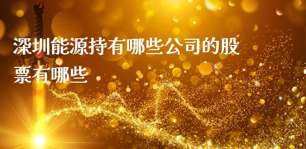 深圳能源持有哪些公司的股票有哪些_https://m.15771688.com_期货手续费_第1张