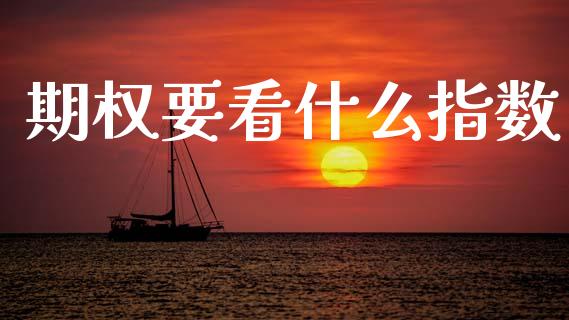 期权要看什么指数_https://m.15771688.com_期货开户_第1张