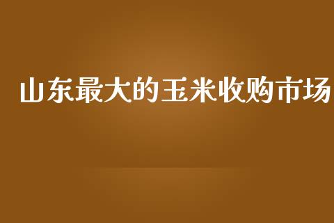 山东最大的玉米收购市场_https://m.15771688.com_美国道指_第1张