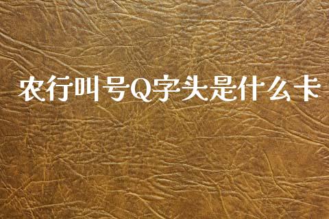 农行叫号Q字头是什么卡_https://m.15771688.com_期货手续费_第1张