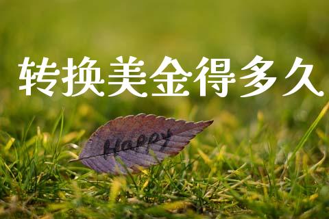 转换美金得多久_https://m.15771688.com_期货手续费_第1张