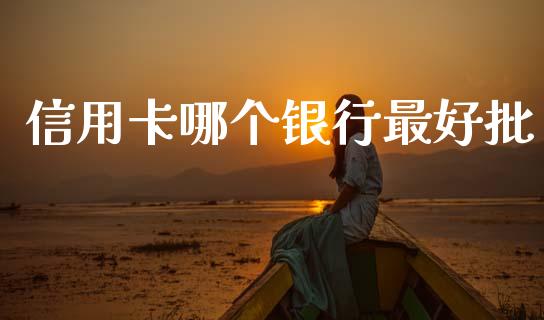 信用卡哪个银行最好批_https://m.15771688.com_道指实时行情_第1张