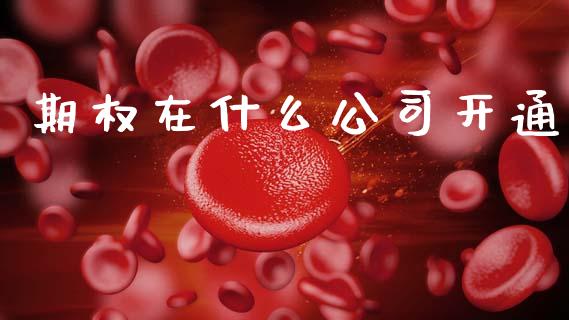 期权在什么公司开通_https://m.15771688.com_期货开户_第1张