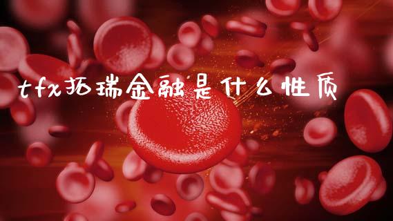 tfx拓瑞金融是什么性质_https://m.15771688.com_期货手续费_第1张