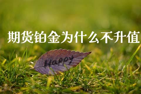 期货铂金为什么不升值_https://m.15771688.com_期货开户_第1张