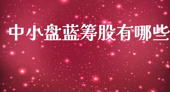 中小盘蓝筹股有哪些_https://m.15771688.com_美国道指_第1张