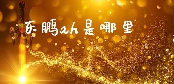 东鹏ah是哪里_https://m.15771688.com_期货手续费_第1张