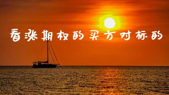 看涨期权的买方对标的_https://m.15771688.com_期货手续费_第1张