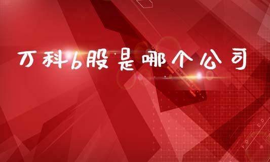 万科b股是哪个公司_https://m.15771688.com_道指实时行情_第1张