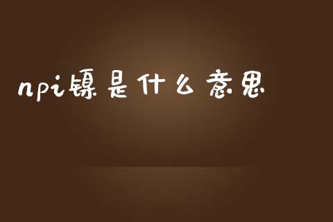 npi镍是什么意思_https://m.15771688.com_道指实时行情_第1张