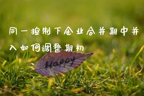 同一控制下企业合并期中并入如何调整期初_https://m.15771688.com_道指实时行情_第1张