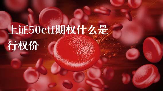 上证50etf期权什么是行权价_https://m.15771688.com_道指实时行情_第1张