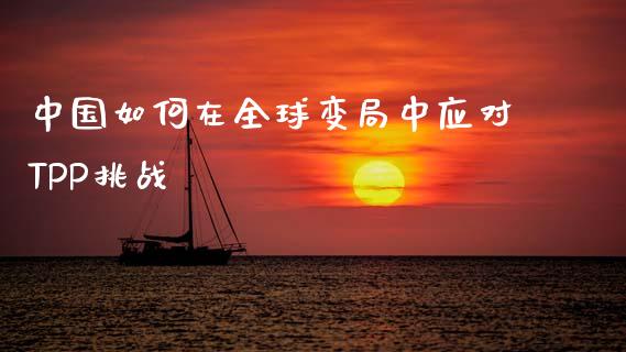中国如何在全球变局中应对TPP挑战_https://m.15771688.com_美国道指_第1张