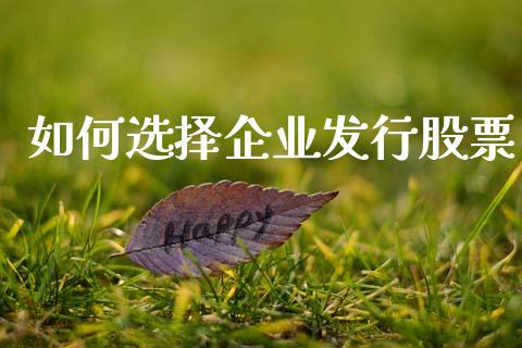 如何选择企业发行股票_https://m.15771688.com_道指实时行情_第1张
