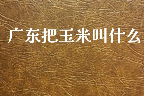 广东把玉米叫什么_https://m.15771688.com_期货手续费_第1张