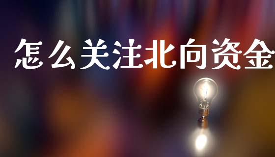 怎么关注北向资金_https://m.15771688.com_道指实时行情_第1张