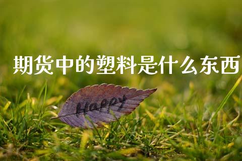 期货中的塑料是什么东西_https://m.15771688.com_期货开户_第1张