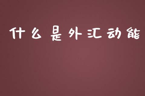 什么是外汇动能_https://m.15771688.com_期货开户_第1张