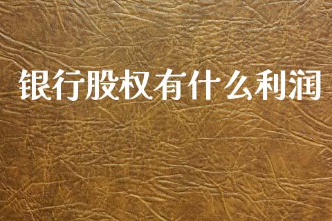 银行股权有什么利润_https://m.15771688.com_美国道指_第1张