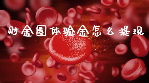 财金圈体验金怎么提现_https://m.15771688.com_期货手续费_第1张
