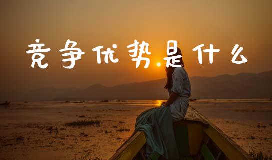 竞争优势是什么_https://m.15771688.com_期货手续费_第1张