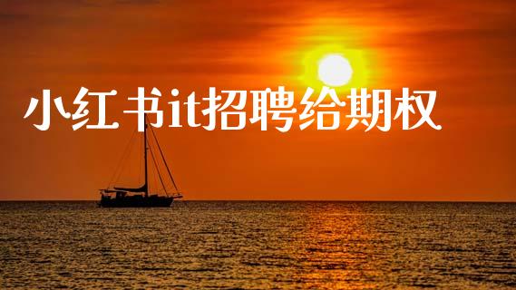 小红书it招聘给期权_https://m.15771688.com_美国道指_第1张