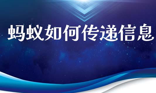 蚂蚁如何传递信息_https://m.15771688.com_美国道指_第1张