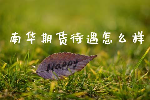 南华期货待遇怎么样_https://m.15771688.com_期货手续费_第1张