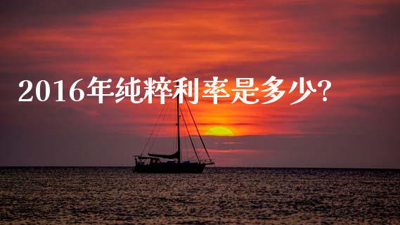 2016年纯粹利率是多少?_https://m.15771688.com_美国道指_第1张