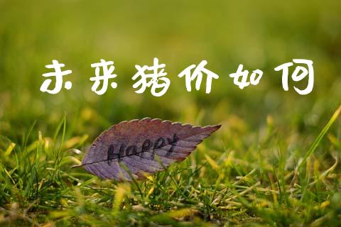 未来猪价如何_https://m.15771688.com_美国道指_第1张