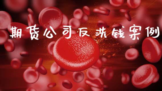 期货公司反洗钱案例_https://m.15771688.com_期货手续费_第1张