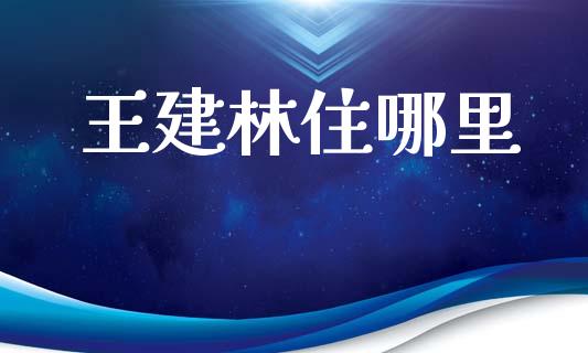 王建林住哪里_https://m.15771688.com_道指实时行情_第1张