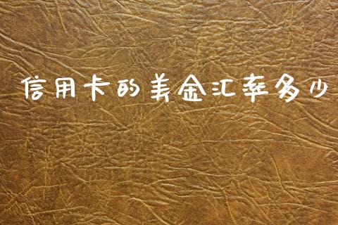 信用卡的美金汇率多少_https://m.15771688.com_美国道指_第1张