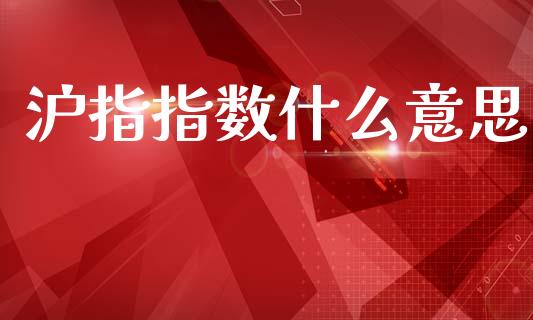 沪指指数什么意思_https://m.15771688.com_期货手续费_第1张