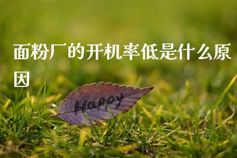 面粉厂的开机率低是什么原因_https://m.15771688.com_美国道指_第1张