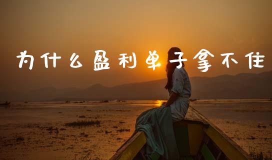 为什么盈利单子拿不住_https://m.15771688.com_期货手续费_第1张