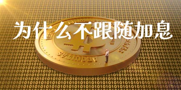 为什么不跟随加息_https://m.15771688.com_美国道指_第1张