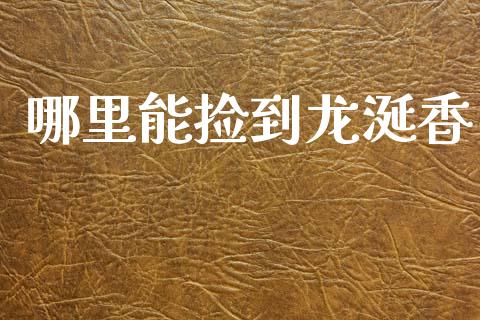 哪里能捡到龙涎香_https://m.15771688.com_期货手续费_第1张