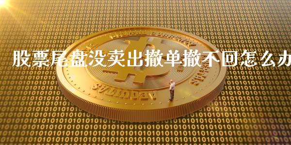 股票尾盘没卖出撤单撤不回怎么办_https://m.15771688.com_期货开户_第1张