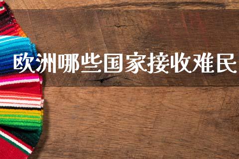欧洲哪些国家接收难民_https://m.15771688.com_期货开户_第1张